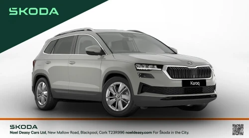Skoda Karoq Selection