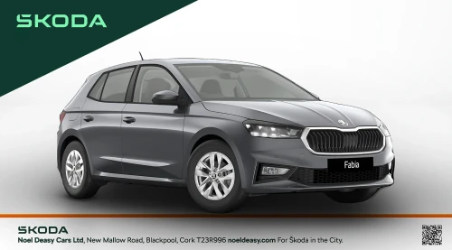 Skoda Fabia Selection