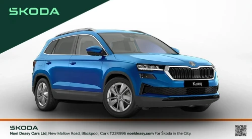 Skoda Karoq Selection