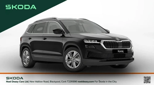 Skoda Karoq Selection