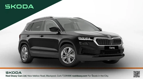 Skoda Karoq Selection
