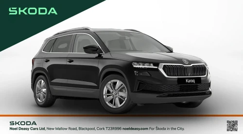 Skoda Karoq Selection
