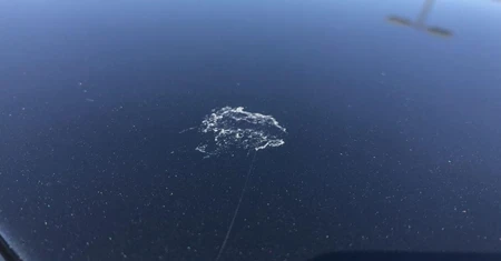 Protect paint from damage Image