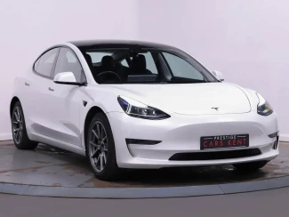 Tesla Model 3 Listing Image