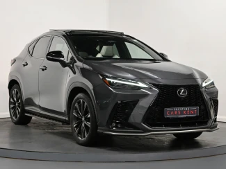 Lexus NX Image 1