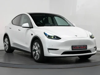 Tesla Model Y Listing Image