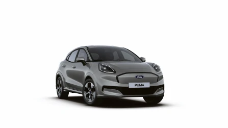 Premium Vehicle Trim