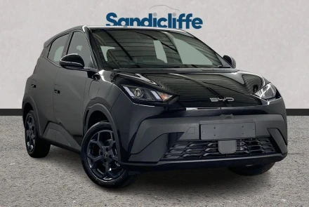 BYD Dolphin Surf Listing Image