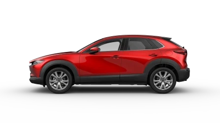 Exclusive-Line Vehicle Trim