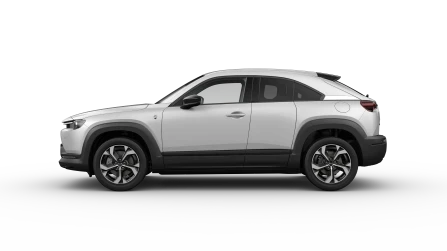 Exclusive-Line Vehicle Trim