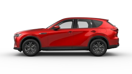 Exclusive-Line Vehicle Trim