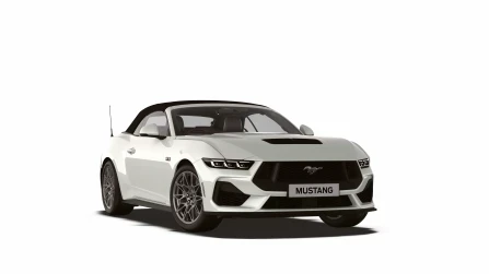 GT Convertible Vehicle Trim