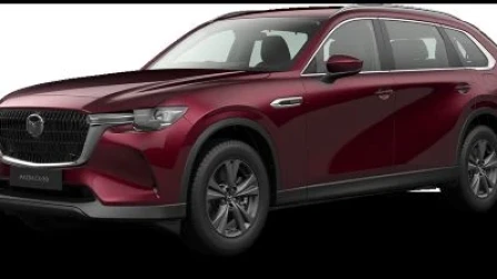 Exclusive-Line Vehicle Trim