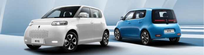 Exploring the Features of the Ora White Cat