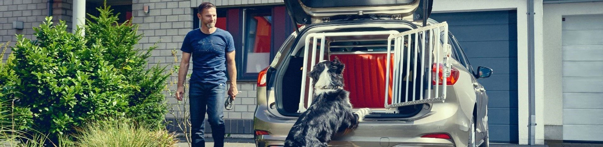 Best Cars For Dog Owners