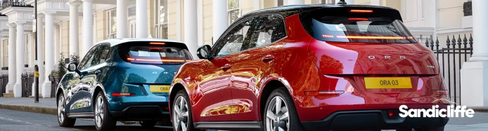 03 is a magic number! Introducing the GWM ORA 03