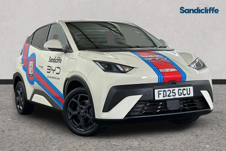 BYD Dolphin Surf Listing Image