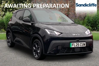 BYD Dolphin Surf Listing Image