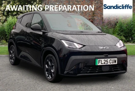 BYD Dolphin Surf Listing Image