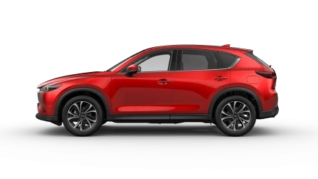 Exclusive-Line Vehicle Trim