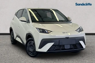 BYD Dolphin Surf Listing Image