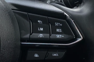 Vehicle Thumbnail 33