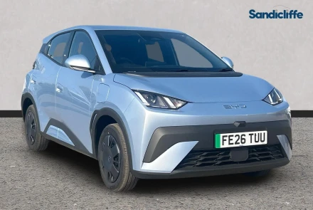 BYD Dolphin Surf Listing Image