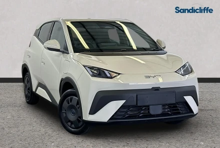 BYD Dolphin Surf Listing Image