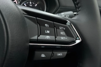 Vehicle Thumbnail 36