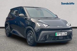 BYD Dolphin Surf Listing Image