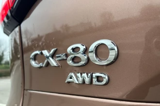 Vehicle Thumbnail 21