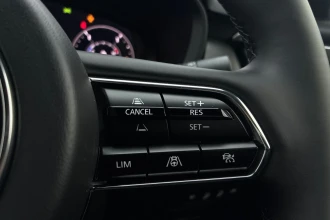 Vehicle Thumbnail 39