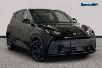 BYD Dolphin Surf Listing Image