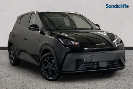 BYD Dolphin Surf Listing Image