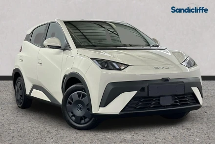 BYD Dolphin Surf Listing Image