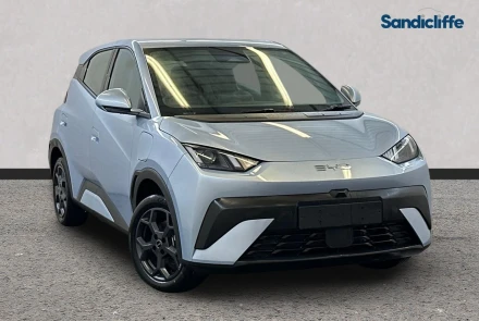 BYD Dolphin Surf Listing Image