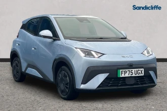 BYD Dolphin Surf Listing Image