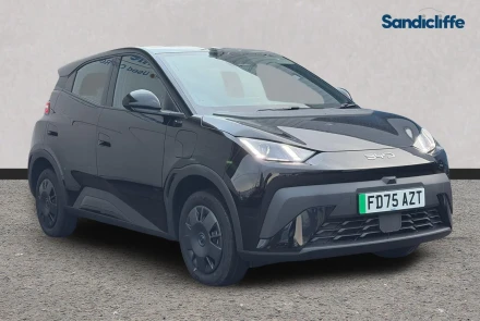 BYD Dolphin Surf Listing Image