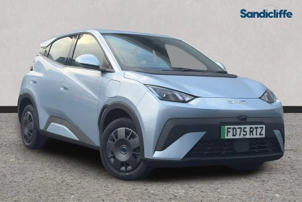 BYD Dolphin Surf Listing Image