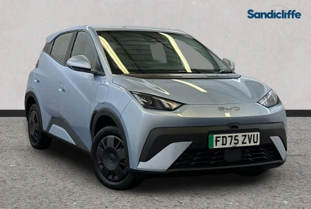 BYD Dolphin Surf Listing Image