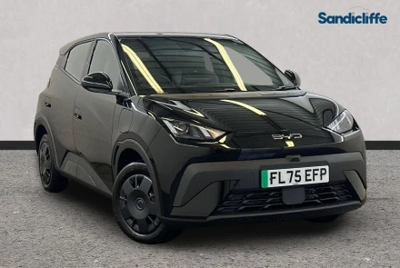 BYD Dolphin Surf Listing Image