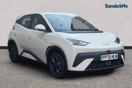 BYD Dolphin Surf Listing Image