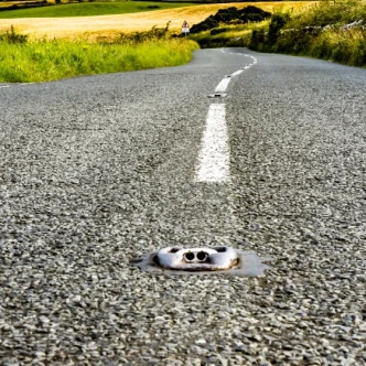 Cat's Eyes Explained: What Every UK Driver Needs to Know