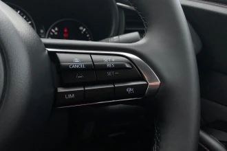 Vehicle Thumbnail 34