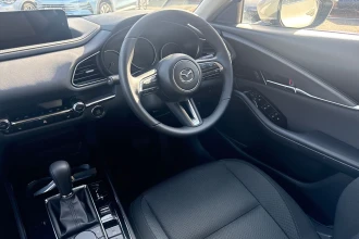 Vehicle Thumbnail 39