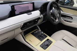 Vehicle Thumbnail 19