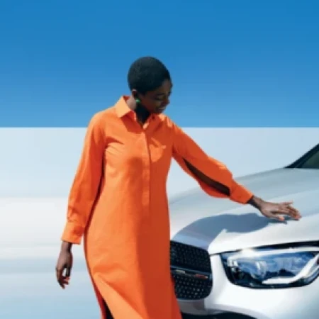 Paintless Dent Removal. image