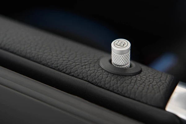 ALUMINIUM DOOR LOCK PINS