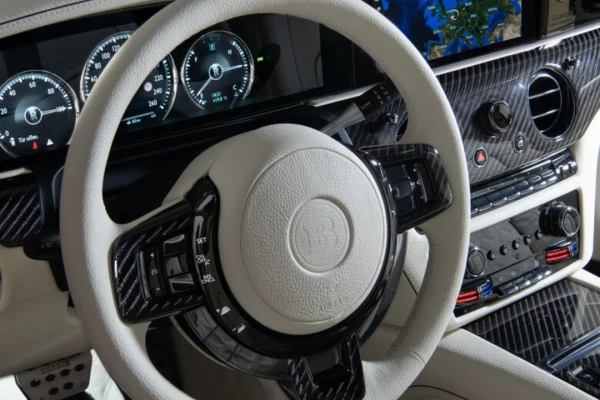 CARBON PACKAGE INTERIOR