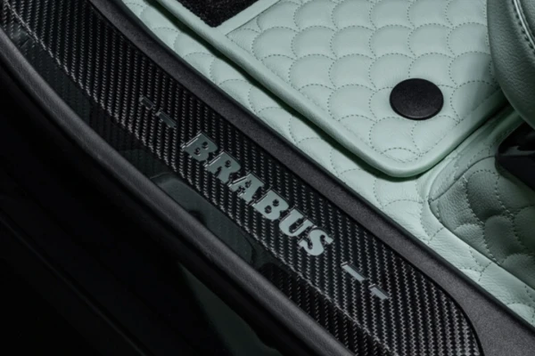 CARBON DOOR SILL PLATES